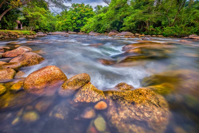 River flowing over stones in a forest