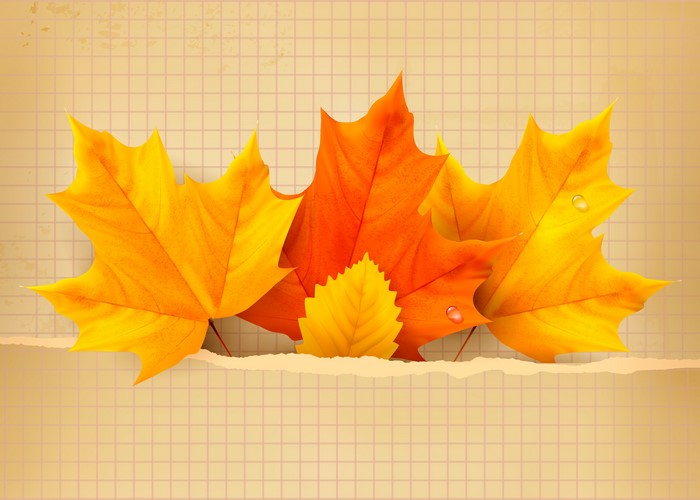 Autumn Maple Leaves on Textured Paper