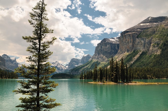 Maligne Lake, Canada, with Mountains and Trees