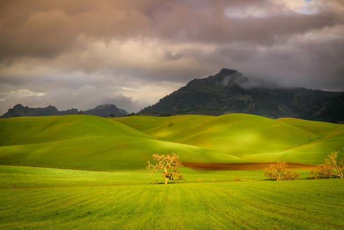 Rolling green hills and mountains under cloudy sky