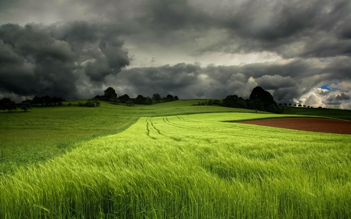 Stormy sky over green fields and trees