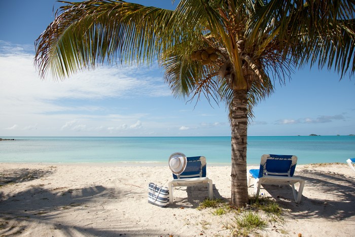 Beach with palm tree and sunloungers