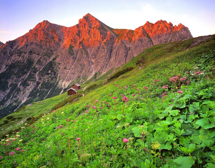 Mountain landscape with cabins and flowers in Austria