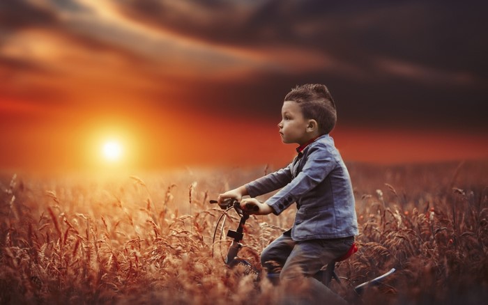 Boy riding a bicycle in a field at sunset