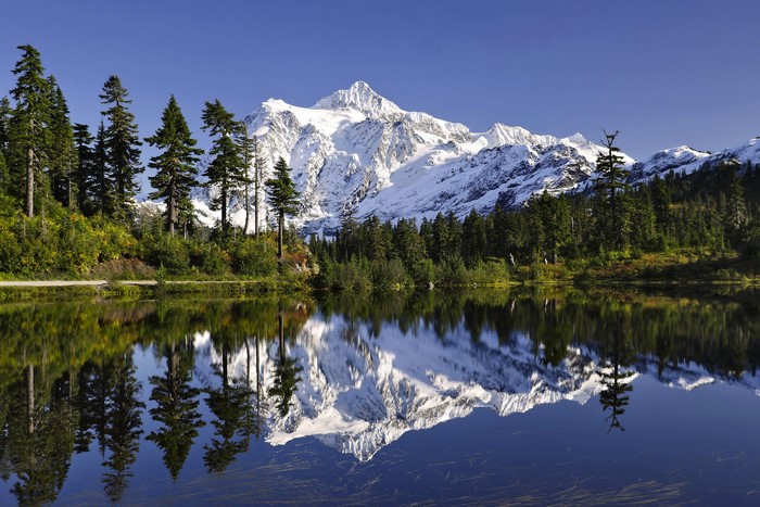 Snow-capped mountains reflected in a calm lake with pine trees