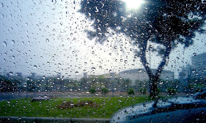 Raindrops on a window with a tree and buildings