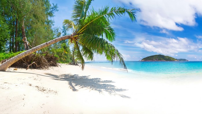 Tropical beach with palm trees and island