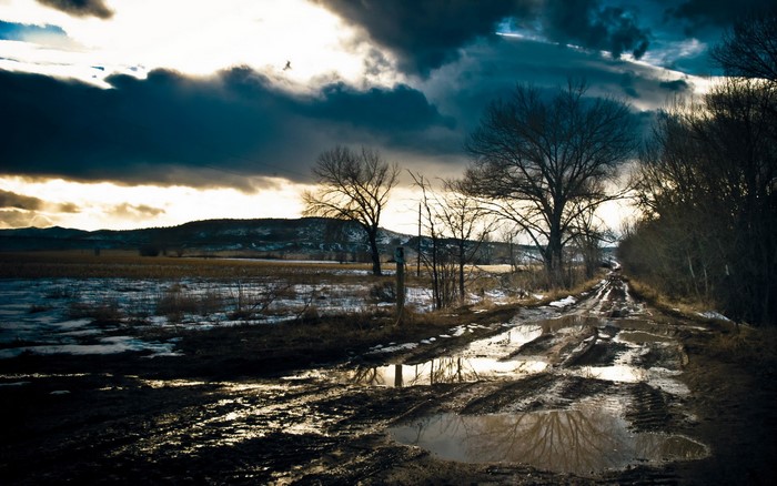 Muddy road with puddles and trees under stormy sky