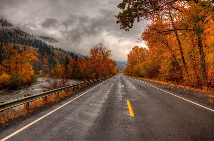 Road through autumn forest with river