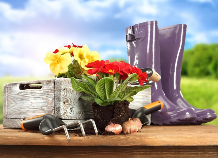 Gardening tools, flowers, and boots on a wooden table
