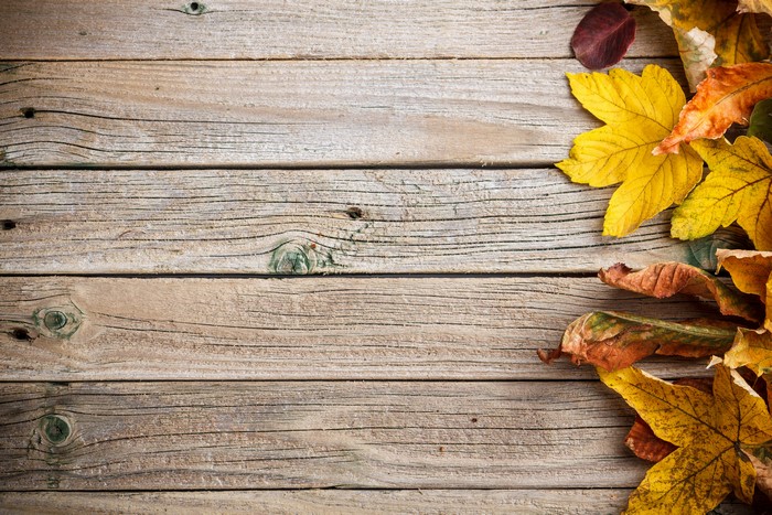 Autumn leaves on wood planks