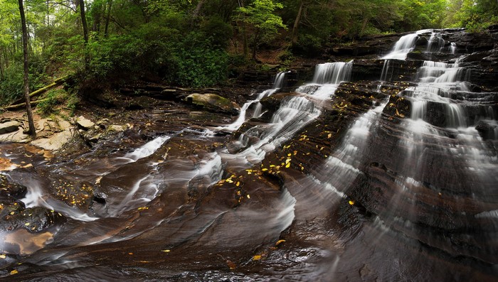 Waterfalls cascading over dark rocks in a forest