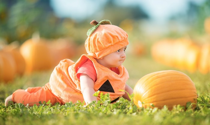 Baby in Pumpkin Costume in Pumpkin Patch