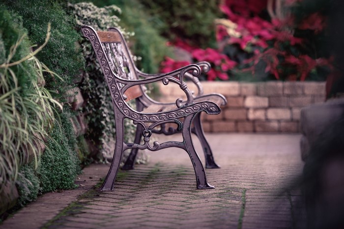 Ornate metal park bench in a garden