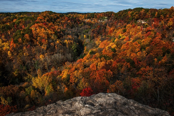 Autumn forest canopy from a rocky overlook