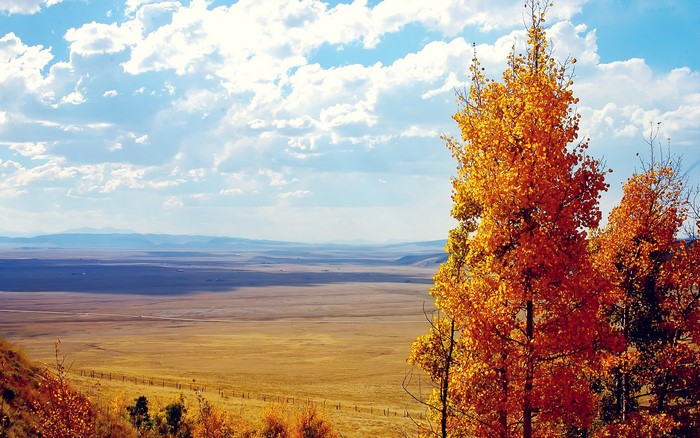Autumn trees overlooking a vast, dry plain under a cloudy sky
