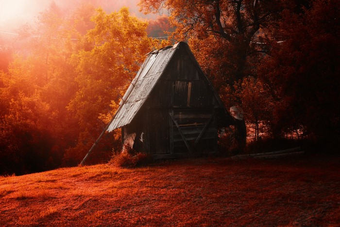 Wooden cabin in an autumn forest with orange sunlight