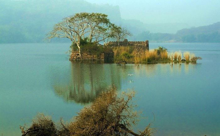 Island ruins in a misty lake with trees