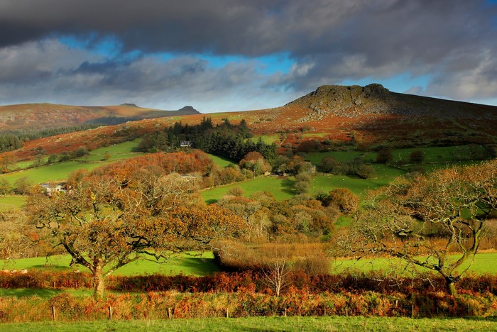 Autumn landscape with rolling hills and trees