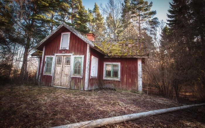 Abandoned red house in a forest