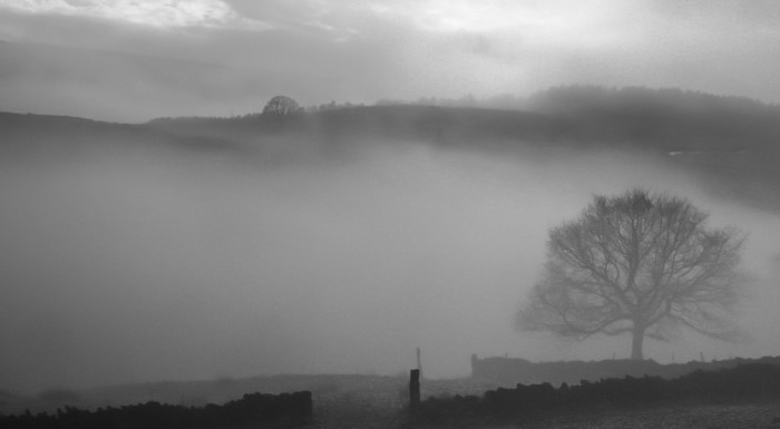 Misty landscape with trees and hills