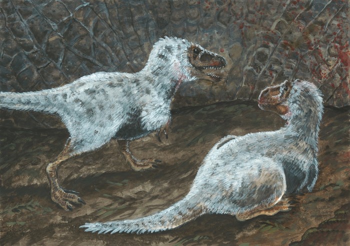 Two feathered dinosaurs in a cave
