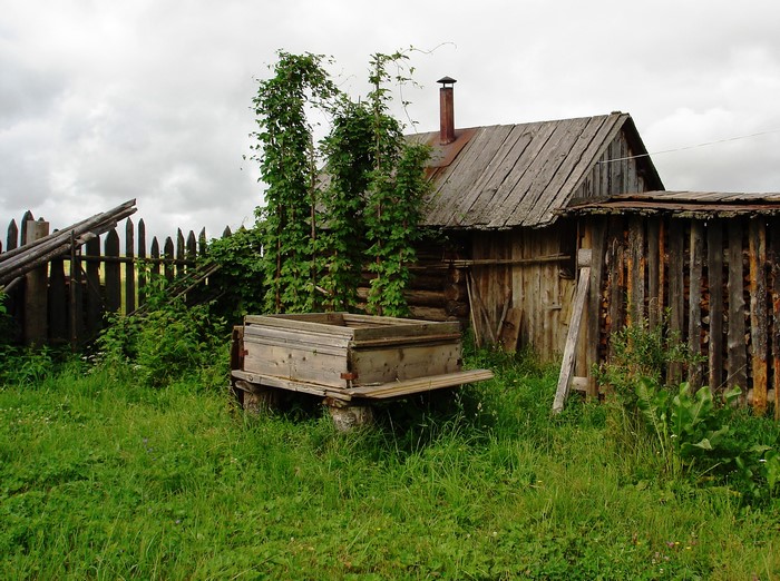 Old wooden house with a cart and fence