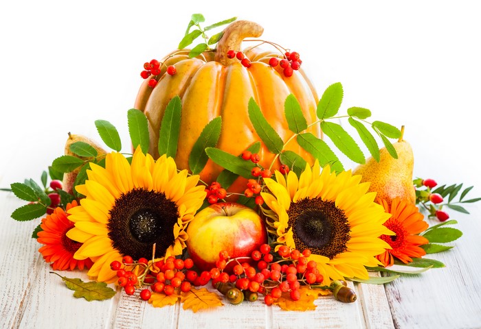 Autumn still-life with pumpkin, sunflowers, apple, and pears