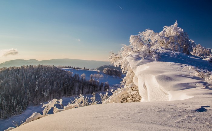 Snow-covered mountains and trees under a clear blue sky