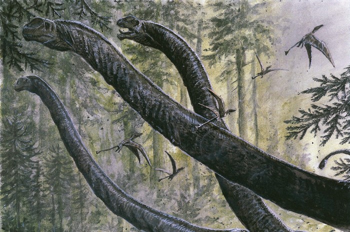 Long-necked dinosaurs and pterosaurs in a forest