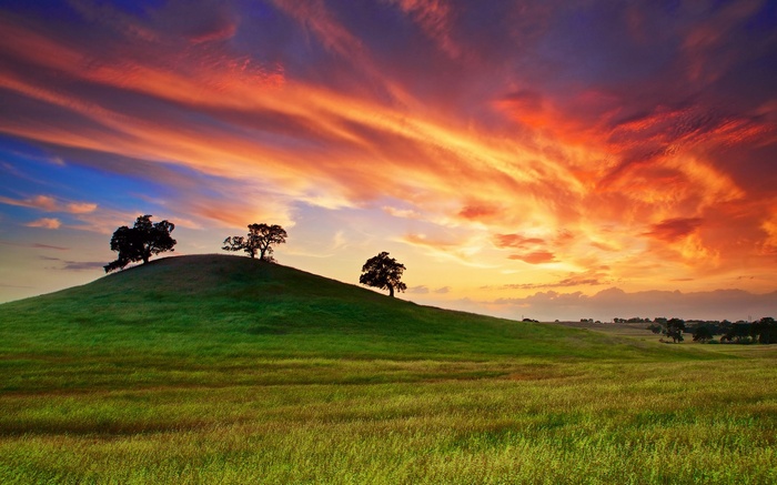 Sunset over rolling green hills with silhouetted trees