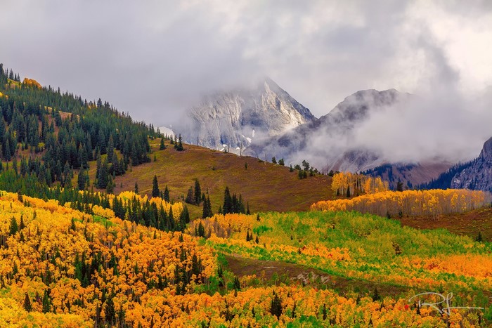Autumn Mountain Scenery in Colorado with Fog