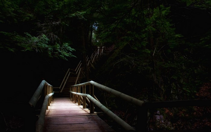 Wooden bridge and stairs in a dark forest at night