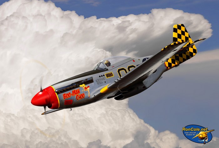 P-51D Mustang 'Boo-Man Choo' in flight