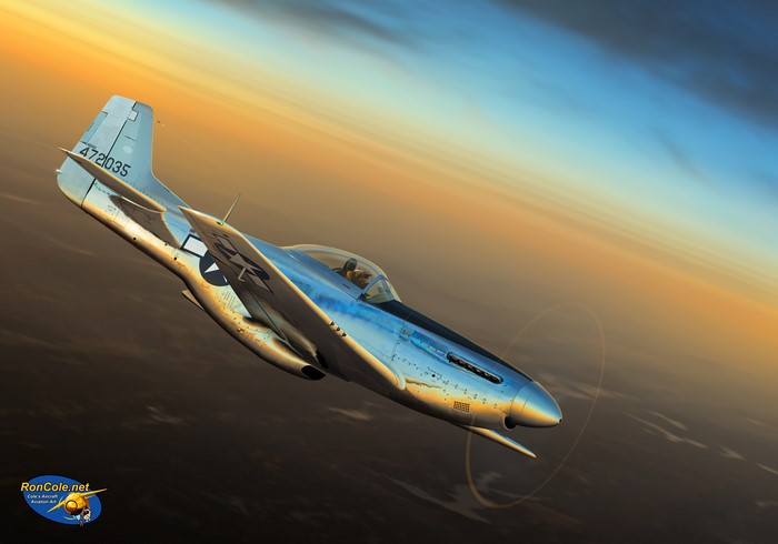 P-51D Mustang 'In All Its Glory' Airplane Painting