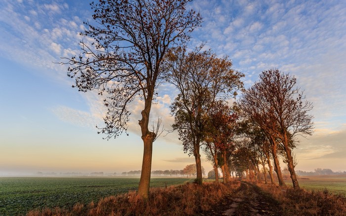 First touch of sun Sky Roads Fields Trees