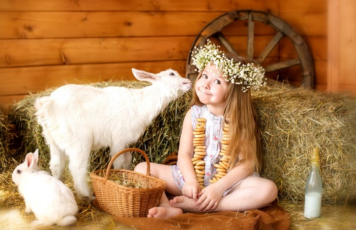 Girl with goat and rabbit on hay