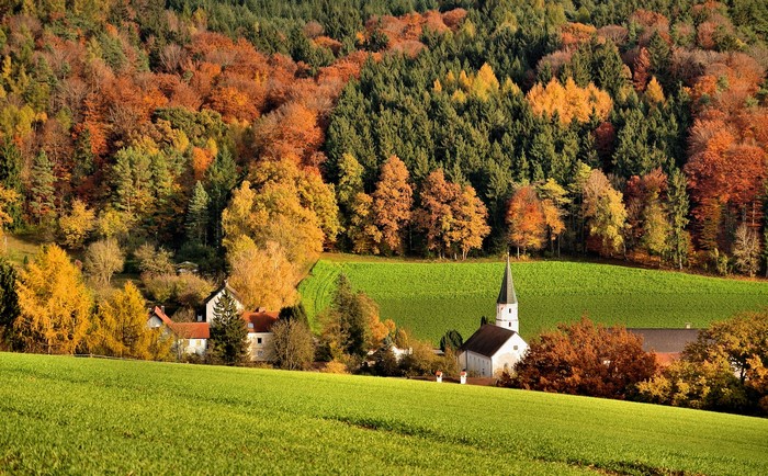 Autumn forest with village and church