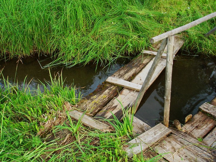 Wooden bridge over a small stream with grass