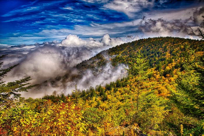 Mountains covered in autumn forest with clouds and blue sky
