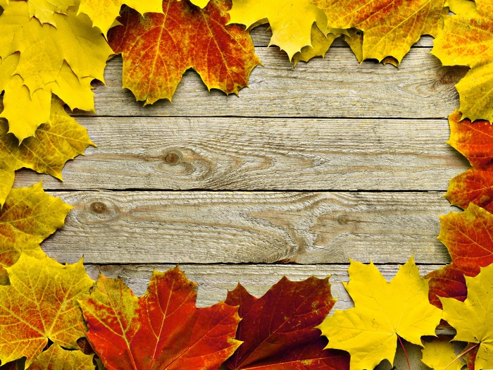 Autumn leaves on wood planks