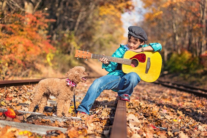 Boy playing guitar with poodle on railroad tracks in autumn