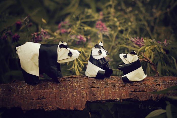 Three Origami Pandas on a Log