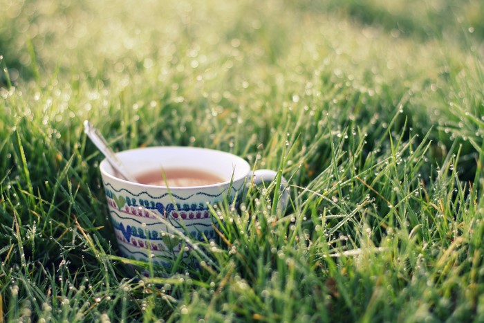 Cup of tea with spoon in grass with dew drops