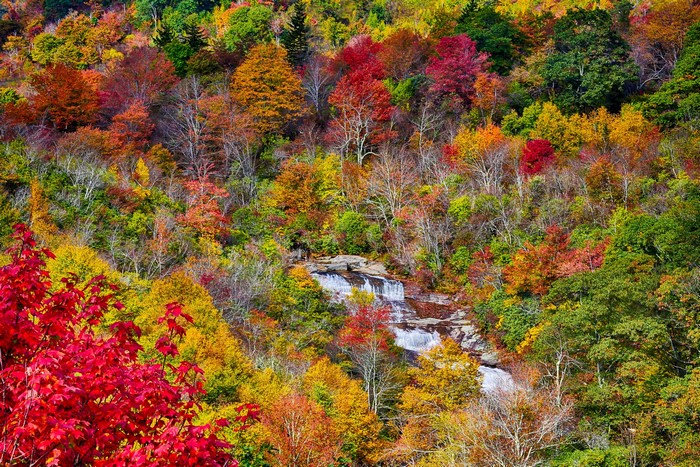 Waterfall cascading through a forest in autumn