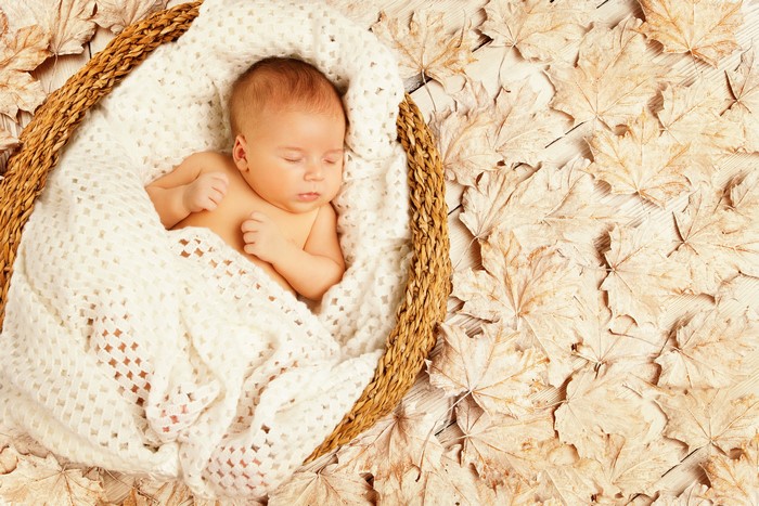 Baby sleeping in a wicker basket surrounded by autumn leaves