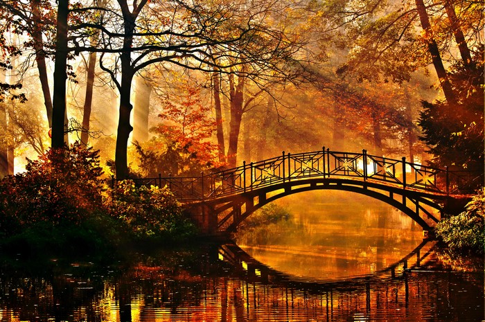 Bridge over water in autumn park with sun rays