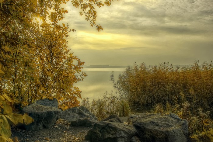 Autumn landscape with trees and river in Russia