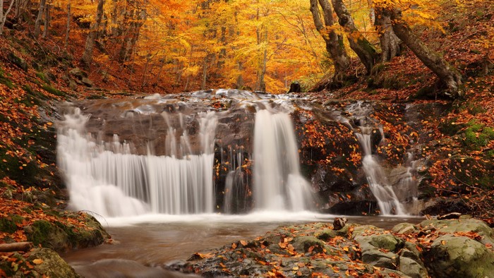 Autumn Waterfall with Colorful Foliage