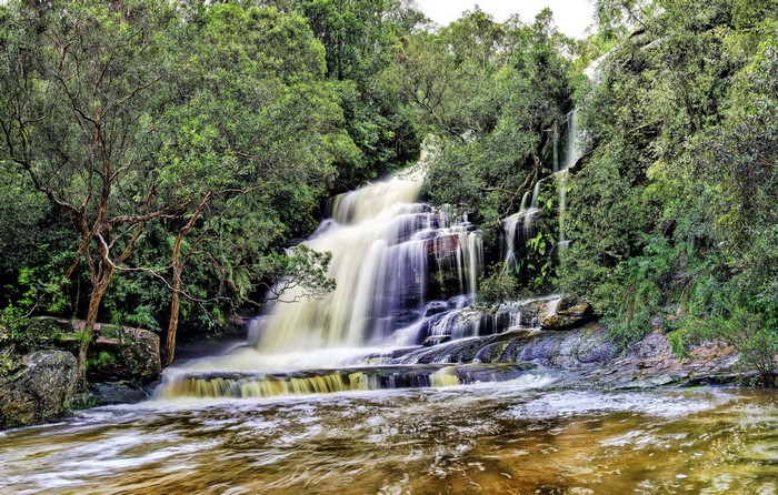 Waterfall in a lush green forest